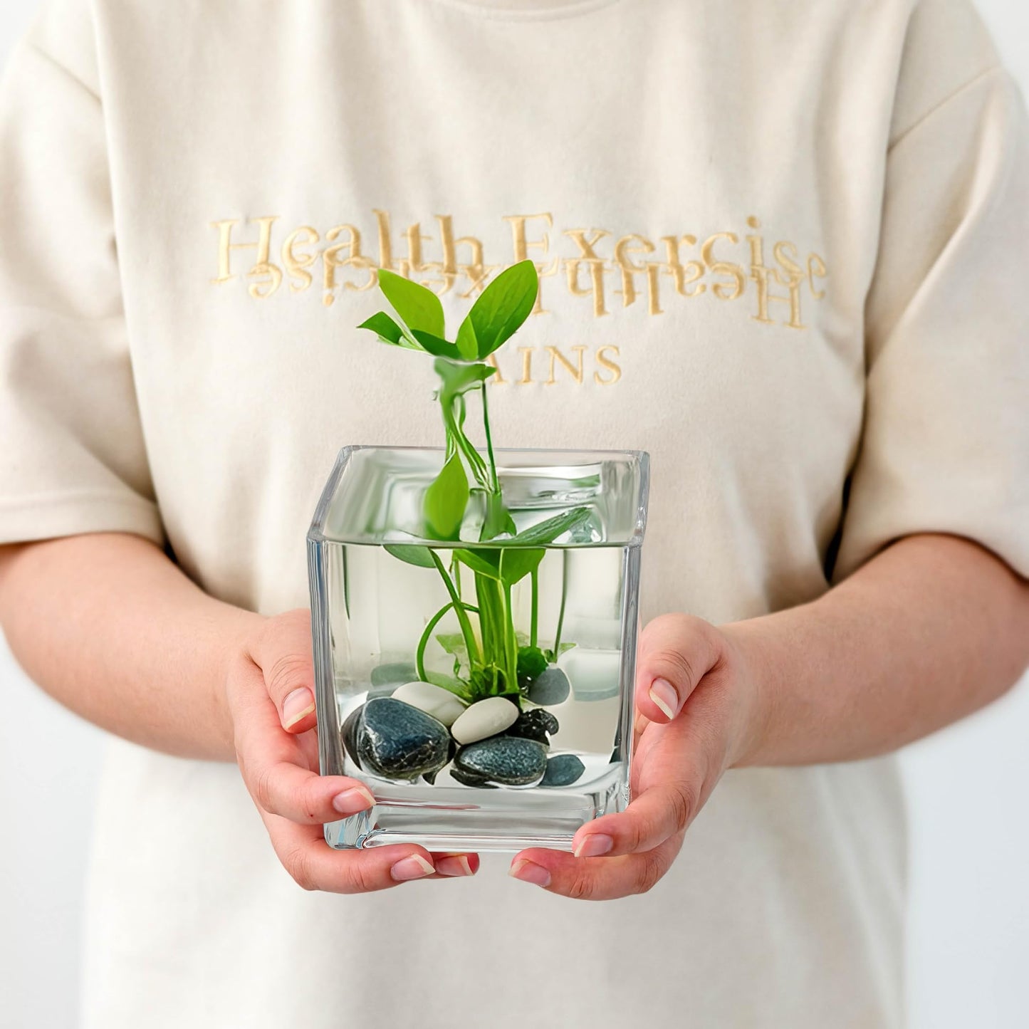 Set of 6 Square Glass Vases for Centerpieces – 5in x 5in x 5in Clear Short Flower Vase, Plant Terrariums, or Candle Holders for Wedding Centerpieces, Office Decor, Home Décor, Parties
