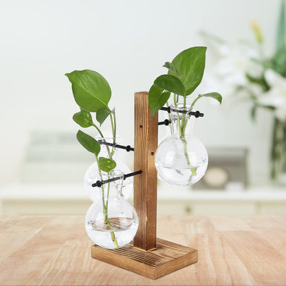 Glass Planter Bulb Vase, Innovative Hydroponic Vase Desktop Plant Terrarium Kit with Wooden Stand Transparent Desktop Flower Vase for Home