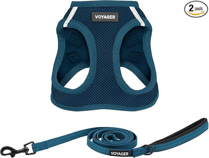 Best Pet Supplies Voyager Step-in Air All Weather Mesh Harness and Reflective Dog 5ft Leash Combo with Neoprene Handle, for Small, Medium and Large Breed Puppies - Blue, X-Small