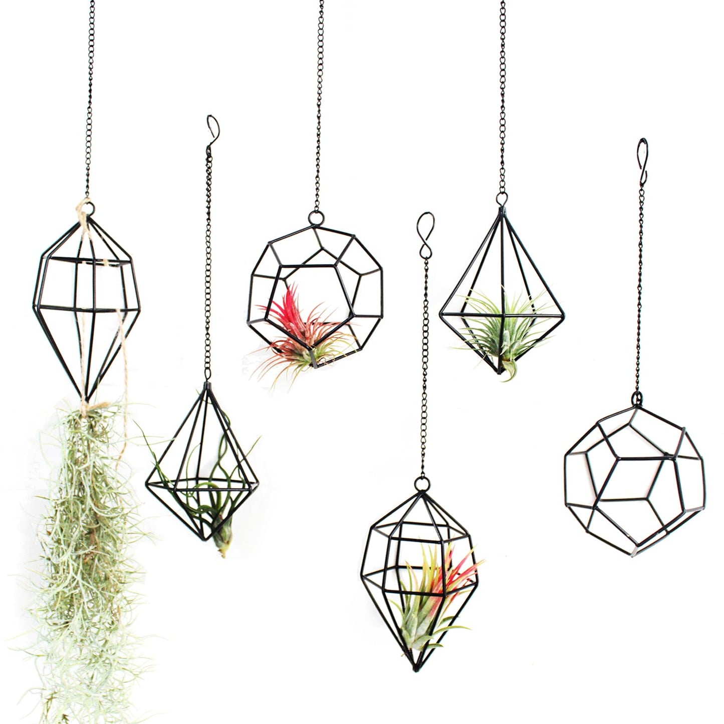 libproqia 6 Pack Geometric Air Plant Holders for Wall Hanging, Black Metal Tillandsia Decor for Boho Home, Office & Shelf Styling