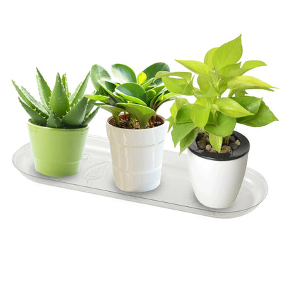 Idyllize Oval 5 Pieces of 14 by 4 5/8 Inches Clear Plastic Heavy Duty Plant Saucer Drip Trays for pots, Window Sills and Window Shelf (14'' x 4.6'')