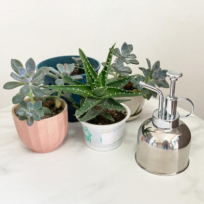 Lianshi Stainless Steel Plant Sprayer, Small Watering Can for Indoor Potted Plants