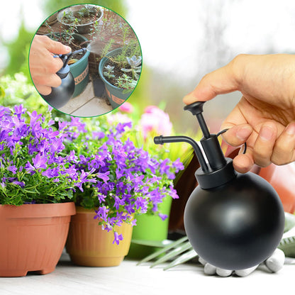 Lianshi Stainless Steel Plant Sprayer, Small Watering Can, Modern Gardening Tool for Indoor Potted Plants
