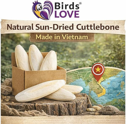 Birds LOVE 7.5-8" Cuttlebone for Birds – 100% Natural Sun-Dried Calcium Carbonate Mineral Supplement – for Parakeets, Budgies, Cockatiels, Finches & Canaries – 1 Pack with Holder – Made in Vietnam