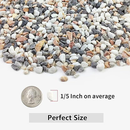 YISZM 2LB Succulent and Cactus Gravel Pebbles, 1/5 Inch Natural Decorative Polished Stones, River Rocks for Vases, Aquariums, Terrarium and Outdoor Gardening, Mixed Color