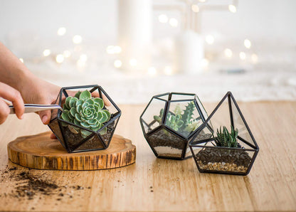 Mkono Artificial Succulent in 3 Pack Mini Glass Geometric Terrarium, Miniature Potted Faux Plant Bookshelf Desk Boho Office Room Decor for Women Girls Dorm Gift Idea, Black