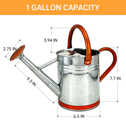 Lechloris Metal Watering Can for Outdoor Plants, Galvanized Steel Watering Can with Removable spout, 1 Gallon,Perfect Home & Garden Décor Retro Zinc Hue