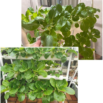 LAPOND Hydroponics Growing System Kit 72 Plant Sites 4 Layers Food-Grade PVC-U Pipes Hydroponic Grow Kit Gardening System with Water Pump, Timer,Net Pots and Sponge for Vegetables,Fruits,Herb