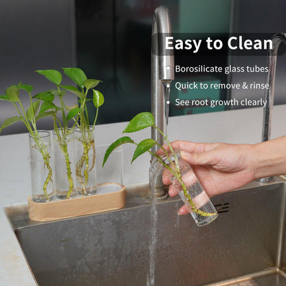 Plant Propagation Station with LED Lights, 4 Glass Test Tubes, Oak Stand, 3 Lighting Modes 9-Level Dimming, Rear USB-C Hidden, for Window Sill Desk Shelf, Gift for Plant Lovers