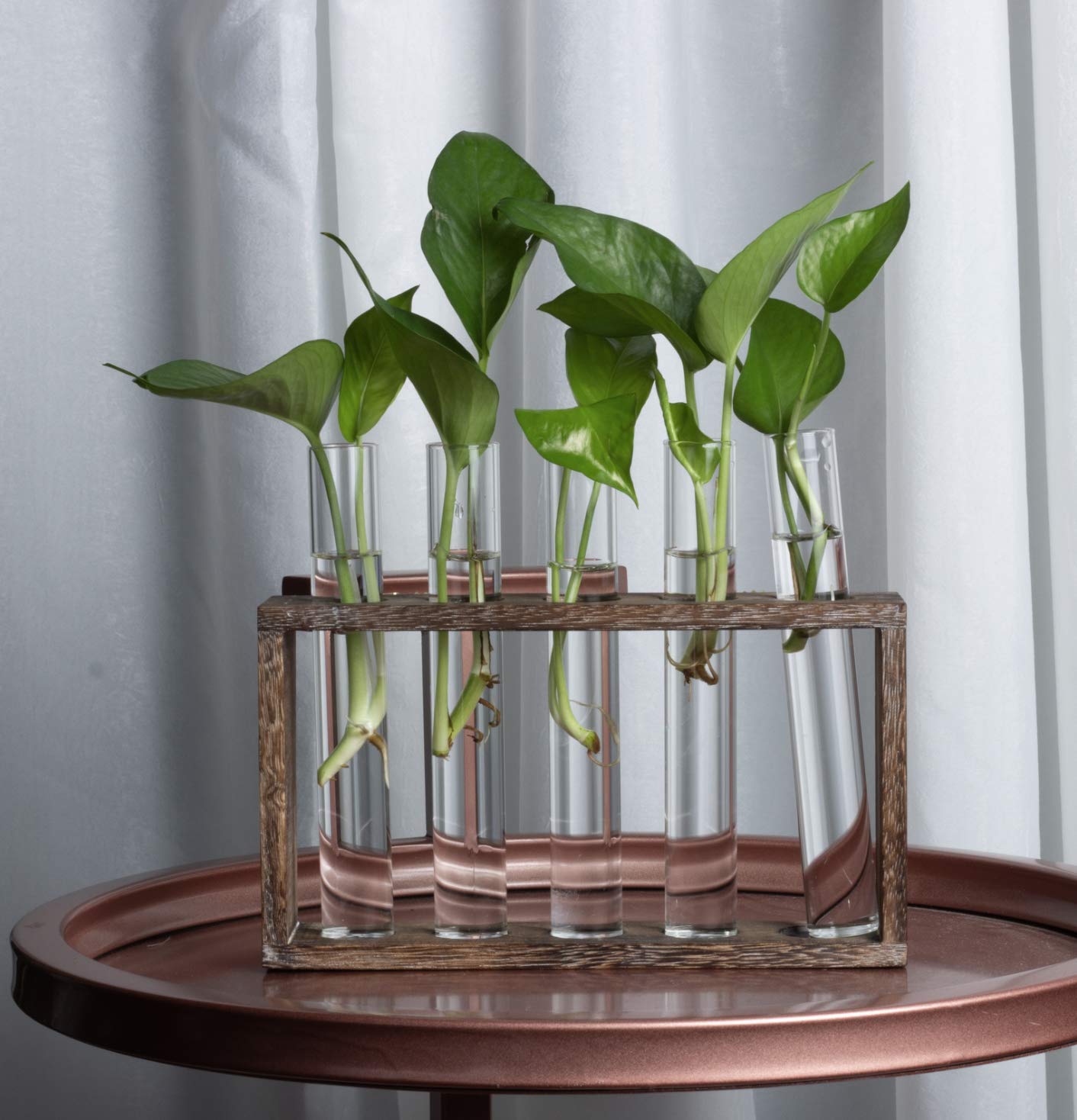 PACDONA 5 Tube Wooden Plant Propagation Station, Tabletop Glass Terrarium Holder for Cuttings Hydroponics, Home Office Desk Decor Gift for Women Mom Plant Lovers, Brown