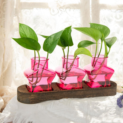 XXXFLOWER Plant Propagation Station with Wooden Stand，Air Plant Terrarium Starter Kits Star Vases for Flowers Plant Cutting Rooting Pots Indoor Hydroponic Glass Planter for Plant Lovers,3 Jars(Pink)