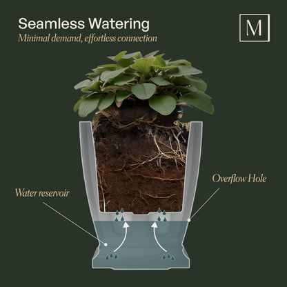 Mayne Acadia 28-Inch Self-Watering Tall Planter, Weather-Resistant and Durable, Ideal for Indoor and Outdoor Use, Perfect for Patio, Porch, or Entryway