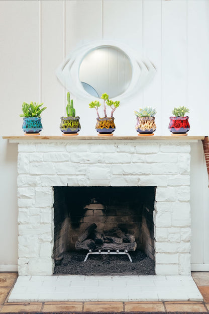 LamDawn Cute Ceramic Succulent Garden Pots, Planter with Drainage and Attached Saucer, Set of 5 -Plants Not Included (Fambe)