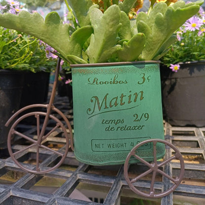 Decours Portable Garden Cart Mobile Plant Stand Stylish Rolling Storage Rack for Pots and Decoration Balconies Flowers Holder Outdoor Flowers Holder