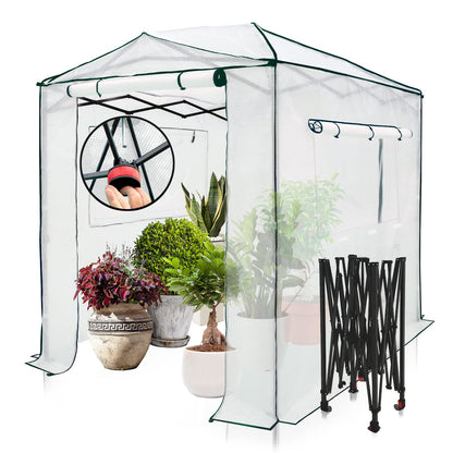 EAGLE PEAK 8x6 Portable Walk in Greenhouse, Pop Up Indoor Outdoor Greenhouse, Green House Kit with Zippered Roll-Up Doors and Windows, PE Cover, Clear/White