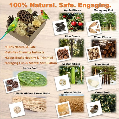 Bird Toys - Lotus Pod Foraging Box, 10 Natural Ingredients | Chewing and Shredding Parrot Toys | Ideal for Parakeets/Cockatiels/Conures/Lovebirds and Small to Medium Birds