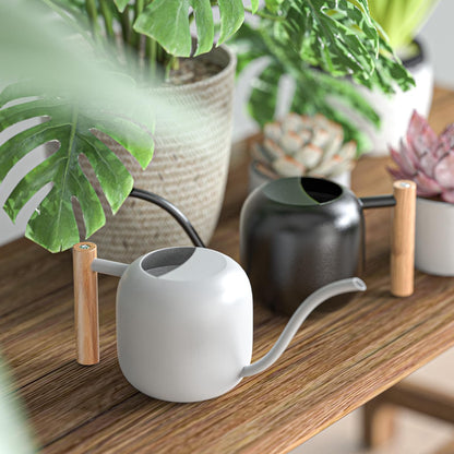 Green Moon Water Can Indoor Plant White 1.2L/41oz with Long Spout Small Water Can Metal Watering Can Pot for Indoor House Plant Bonsai Outdoor Garden Flowers Decorative