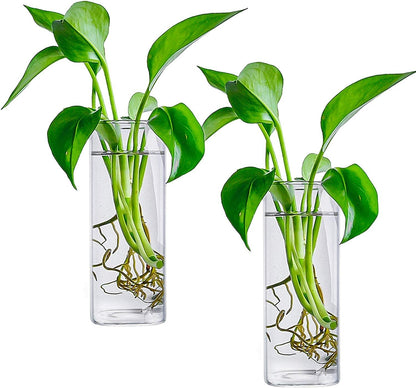 Fasmov 6 Pack Wall Hanging Glass Planters, Terrarium Holders for Air Plants, Succulents, Flowers - Square, Clear Vase Containers for Plant Display and Decoration