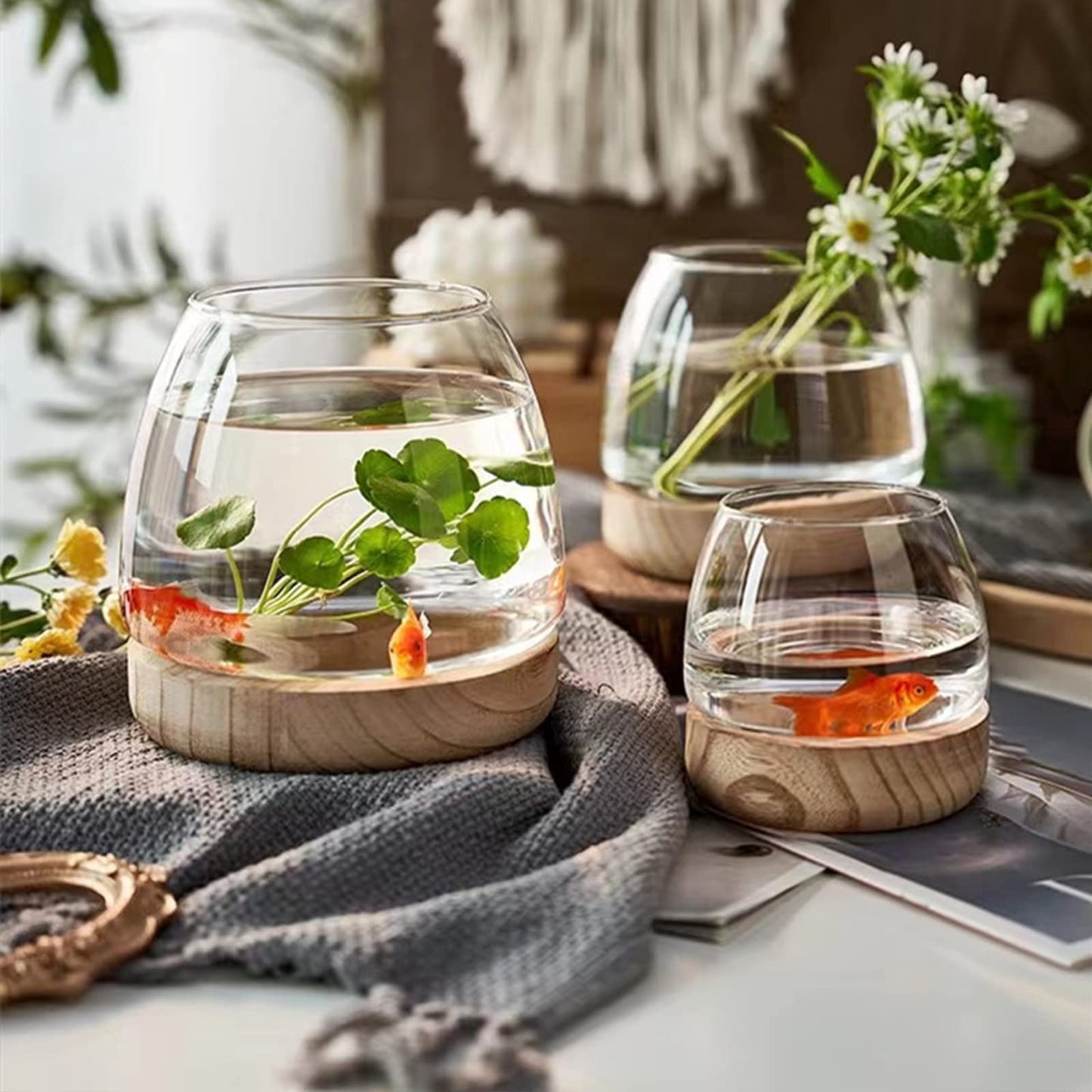 Asodomo Clear Glass Vase Fish Bowl Hydroponic Plant Vase with Wood Base Desktop Planter Terrarium Vases for Table Centerpiece Bedroom Living Room Home Office Decor (XL)