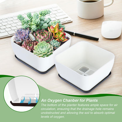 Oliz Succulent Pots 6 Inch Shallow Herb Planters with Drainage Hole - 4 Packs Cactus Planter for Home Office Garden Plants Pot Present - Plants Not Included (Off White)