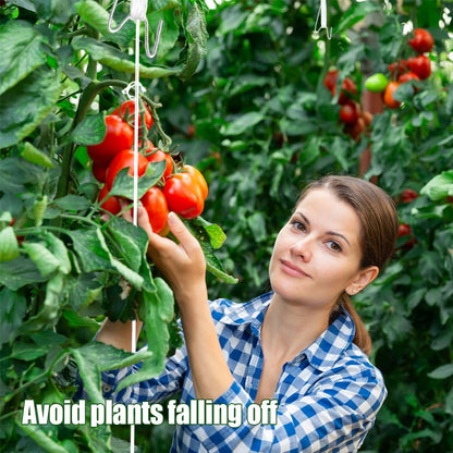 Paradi star 130Pcs Tomato Hooks with String,Plant Support Clips,Tomato Support Hook for Climbing Plants,Tomato Holder Hooks with 32.8ft Twine to Prevent Vegetable Fruit from Pinching or Falling Off