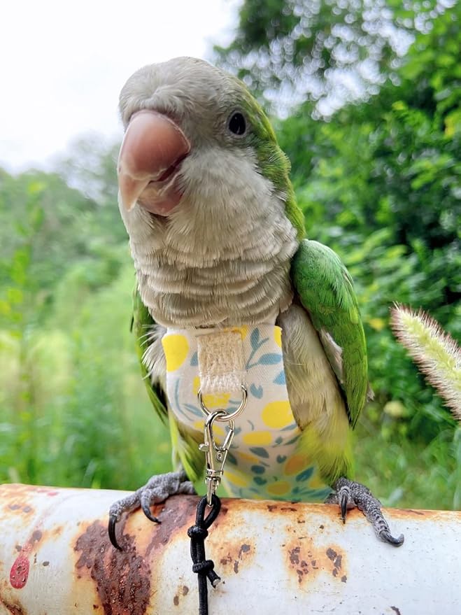 Bird Diaper Harness Flight Suit Clothes, Parrot Flight Suit with Leash, Bird Flying Clothes with Rope and Handle for Outdoor Activities Training (Yellow Without Leash,Small)