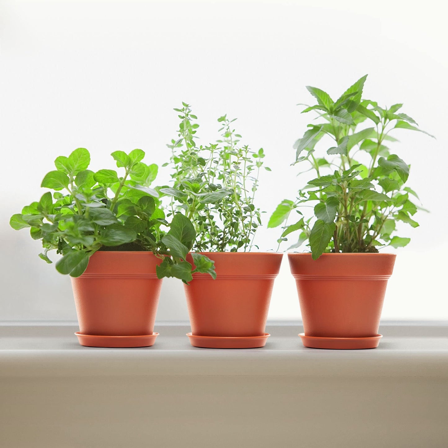FHWTY 6 Pack 7in Plastic Plant Pots Black & 6 Pack 7in Plastic Plant Pots Terracotta