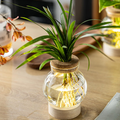 Propagation Stations, Plant Propagation Station with Light Base, Glass Propagation Vases, Hydroponic Vase for Plants, Glass Terrarium for Home Office Windowsill Tabletop Decoration (5)