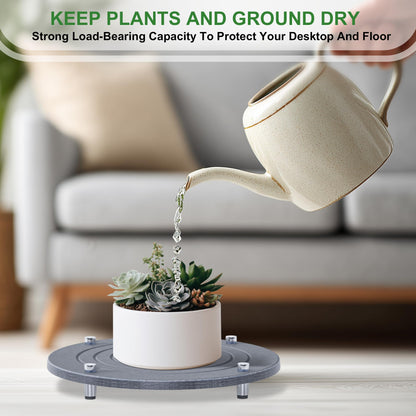 SeekElegant 2Pcs 8 Inch Plant Saucers for Indoors, Instant Dry Diatomaceous Earth Plant Saucer, Plant Trays for Pots with Stainless Steel Feet, Plant Water Catcher Tray, Gray