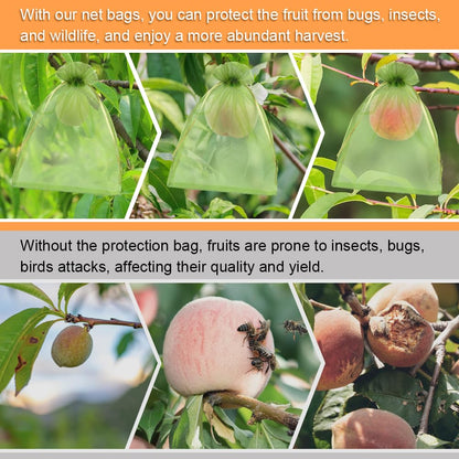 Shintop 100Pcs Fruit Protection Bags, 6x9 Inch Green Fruit Tree Netting Cover Drawstring Mesh Tomato Bags Pest Barrier for Apples Mango