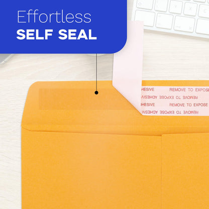 6x9 Manilla Envelopes Self Seal 250 PCS, Goefun Small Brown Kraft Catalog Envelopes 6x9 for Mailing - 100GSM Paper