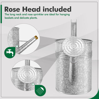 Galvanized Iron Watering Can for Indoor Plants, Oval Watering Cans for House Plant Garden Flower, Long Spout Water Can for Outdoor Watering Plants 9.46L 2.5 Gallon