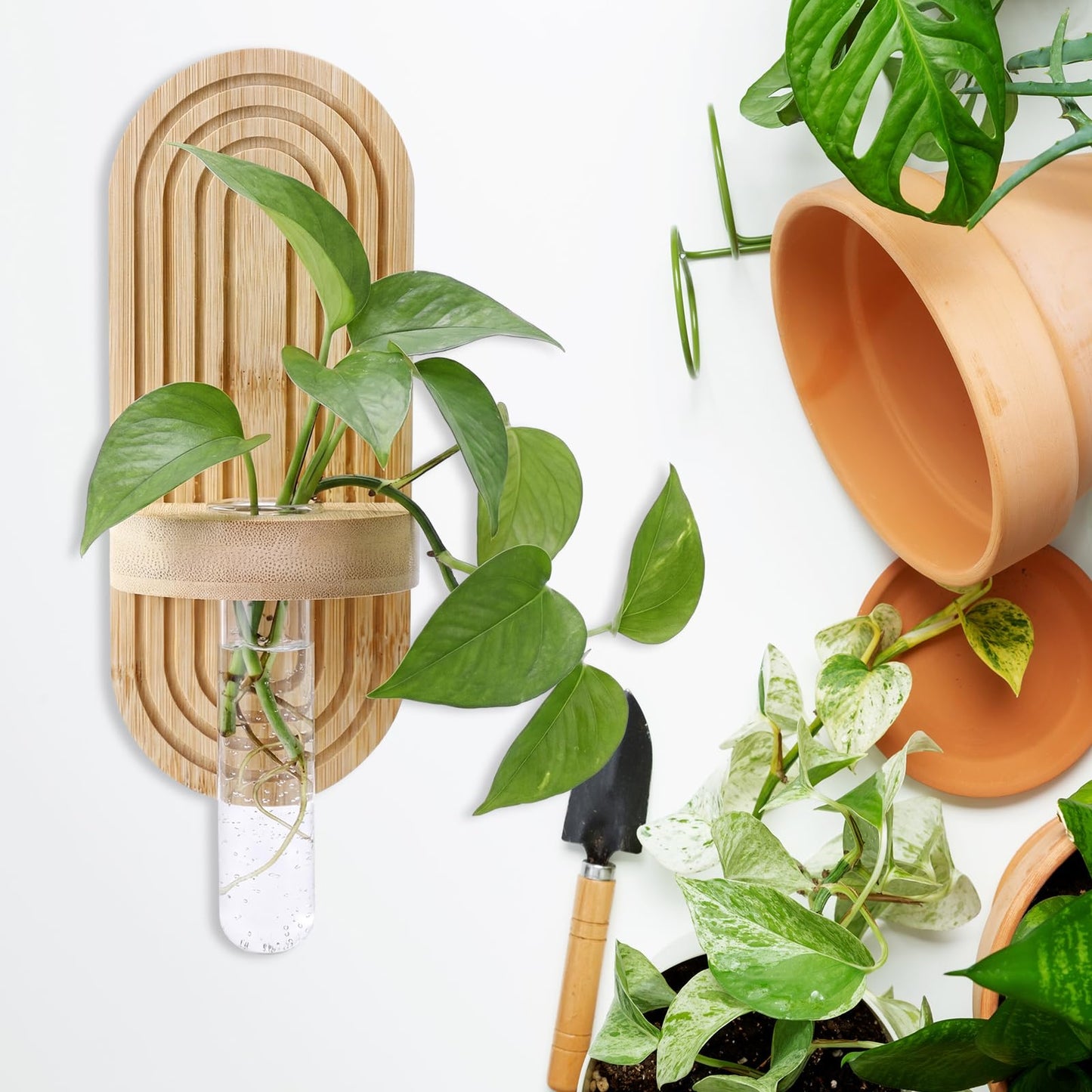 Beeveer 4 Sets Hanging Plant Propagation Stations Bamboo Wood Wall Mounted Test Tube Vase Rustic Decorative Glass Planter Holder Gift for Women Plant Lover Hydroponic Flowers Home and Office Decor