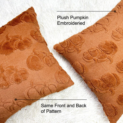 Booque Valley Fall Decorative Pillow Covers Set of 2 Soft Fluffy Faux Fur Wool Rust Pumpkin Throw Pillowcases for Autumn Halloween Farmhouse Home Decor, 20 x 20 inch, Terracotta