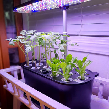 EAGLE PEAK 15 Pods Hydroponics Growing System with WiFi, 5.5 L Water Tank, Smart Indoor Plants Germination Kit with LED Grow Light, Pump System, Adjustable Height for Home Kitchen Gardening, Black