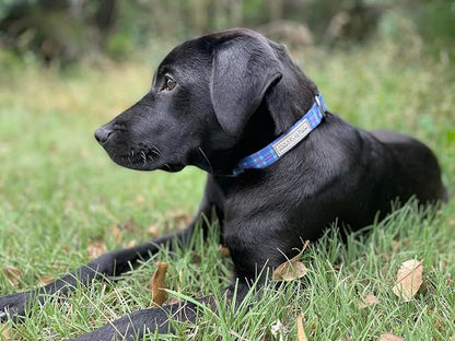 Lucky Love Dog - Adjustable Dog Collar and Leash Set with Easy Click Buckle for Small Dogs, Durable, & Comfortable Collar for Male & Female Dogs, Puppies & Adult Ones - Scotty Combo, Small