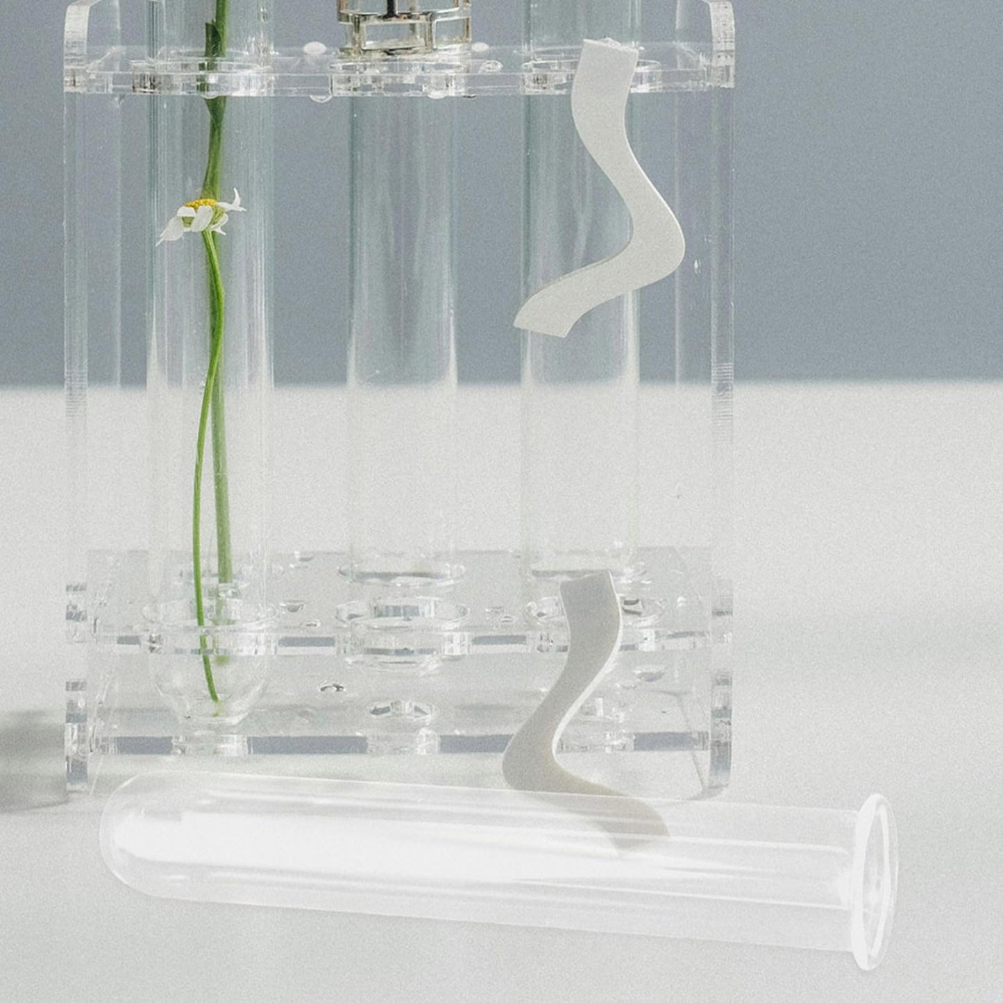 Abaodam 5Pcs Hydroponics Test Tube Vase Transparent Glass Propagation Vases for Indoor Plants Stylish Home Decor for Flower Arrangements and Terrarium Display