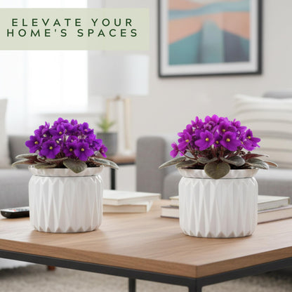 Thriving Thicket 6 Inch African Violet Pots Self Watering, Ceramic Planter with Water Reservoir and Fill Lines, 4 Inch Opening, Indoor Flower Pot, Holds 3 Weeks of Water (2 Pack White)