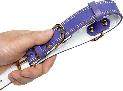 Genuine Leather Dog Collar, Heavy Duty Dog Collar, Wide Dog Collar for Small, Medium, Large and Extra Large Dogs (L: 1.2" Wide for 16.2"-22" Neck, Dual Stitch - Purple)