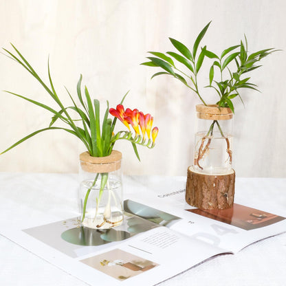 wangsdjy Separated Desktop Glass Flower Vases - Ideal Plants Propagation Stations for Living Room, Bedroom Decoration,Home Decor (4)