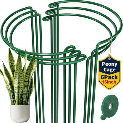 AMAGABELI GARDEN & HOME 6 Pack Peony Cage Plant Support Stakes 10" W x 16" H Heavy Duty Ring Metal Garden Support Structures Plant Cage with Ties for Indoor Flower Outdoor Tomato Hydrangea Monstera