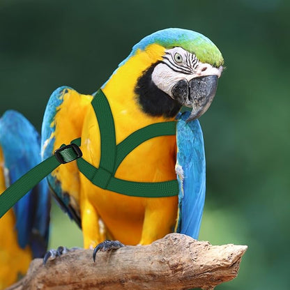 2 pcs Pet Parrot Bird Harness and Leash, Adjustable Training Design Anti-Bite, Outdoor Flying Training Rope Kit for Bird Parrots Fits Birds Chest Between35-62cm /13.78-24.41inch - L (Green