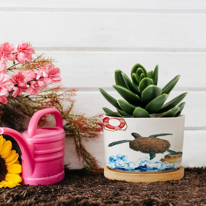 DreamAutumn Ocean Theme Sea Turtle Ceramic Planters Ceramic Pots with Saucers Orchid Pots for Plants Succulents Pots Office Desk Garden Balconys New Home Decor,Gifts for Mom Mother Grandmother
