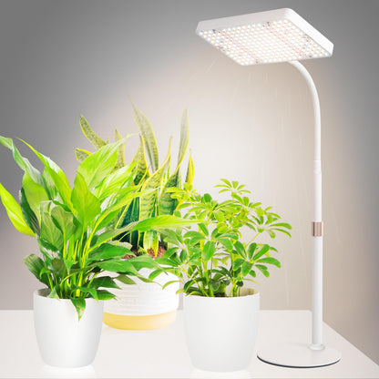 JINHONGTO 2Pack Desk Grow Light LED Full Spectrum UV IR, Veg Seed Starting Seedlings Bonsai Houseplant Plant Light, Table Top Grow Lights for Indoor Plants, 16"-24" Height Adjustable
