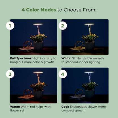 AeroGarden Stem Grow Light for Indoor Plants, Grow Live Plants Anywhere in The Home, Adjustable Light Modes, Cream