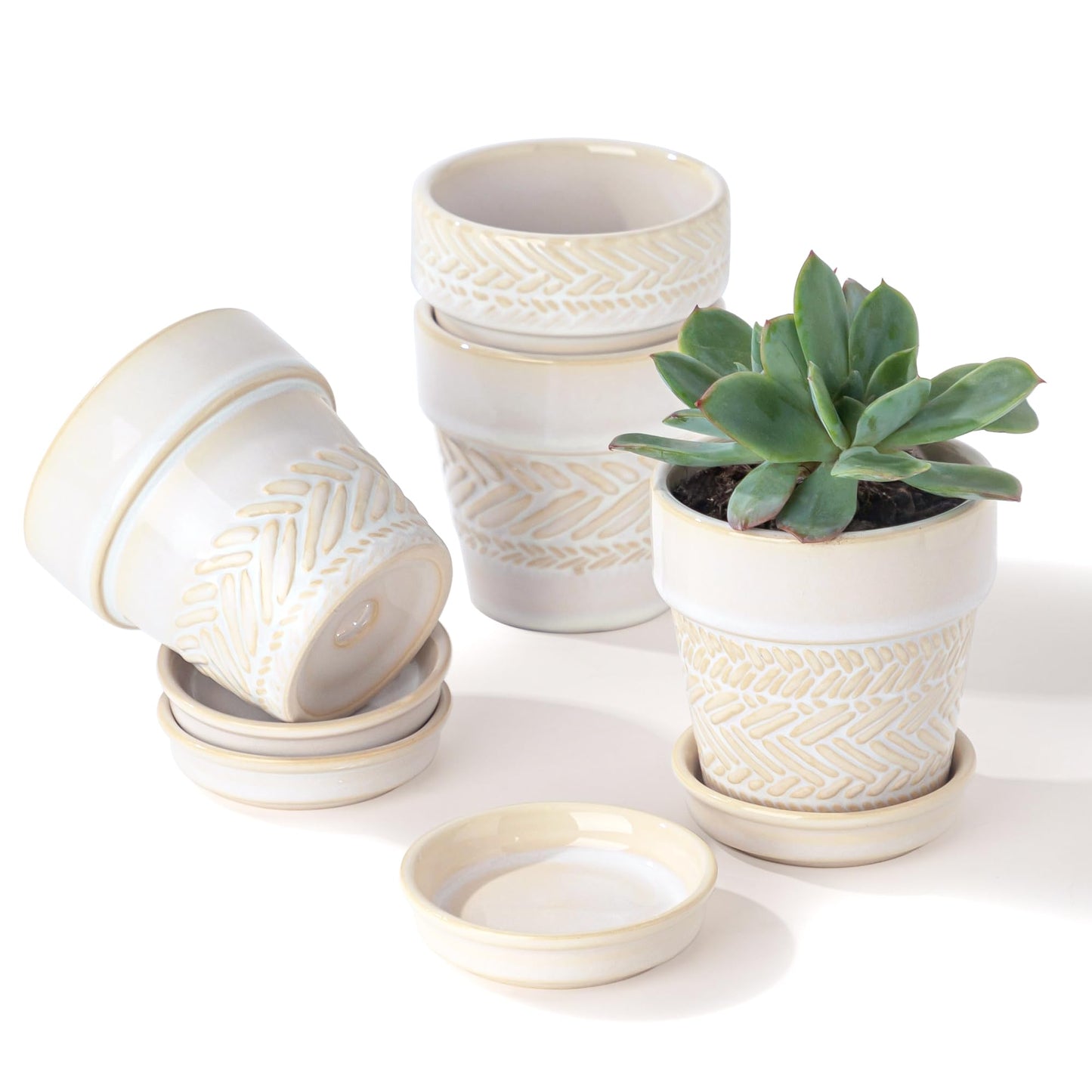Fayoula Succulent pots,Indoor Small Succulent Bonsai,3 Inch Mini Ceramic Succulent Pots with Saucer and Drainage Hole, Decorative Planter for Succulent, Cactus, Set of 4.