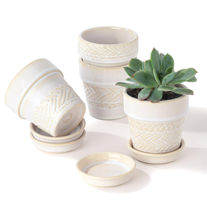 Fayoula Succulent pots,Indoor Small Succulent Bonsai,3 Inch Mini Ceramic Succulent Pots with Saucer and Drainage Hole, Decorative Planter for Succulent, Cactus, Set of 4.
