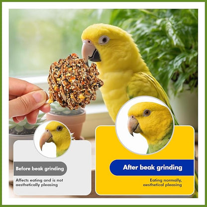 Abizoo Natural Pinecone Chew Toys with Edible Sunflower & Veggies - Malt Sugar Coated Foraging Enrichment for Parrots Cockatiels Conures Budgies Immune & Digestive Support Safe Bird Toy 2pcs