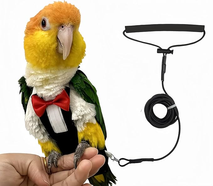 Bird Harness Leather Set Tuxedo Flight Suits with Nappy Diapers Waterproof Inner Layer Urine Wet for Parrot Cockatiel Conure Parakeet Macaw Budgie (XS)