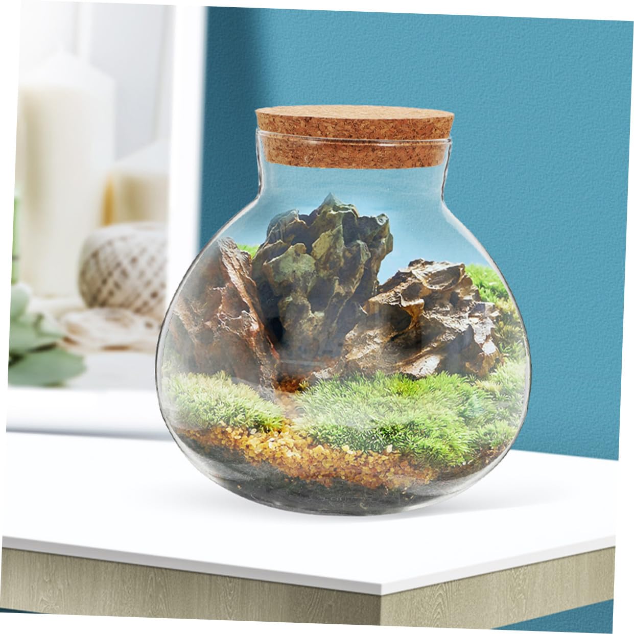 HYTROVE Terrarium Plant Decor Holder Glass Jar Moss Plant Bottle Micro Landscape Planter Bottle DIY Cork Glass Eco for Home Decor